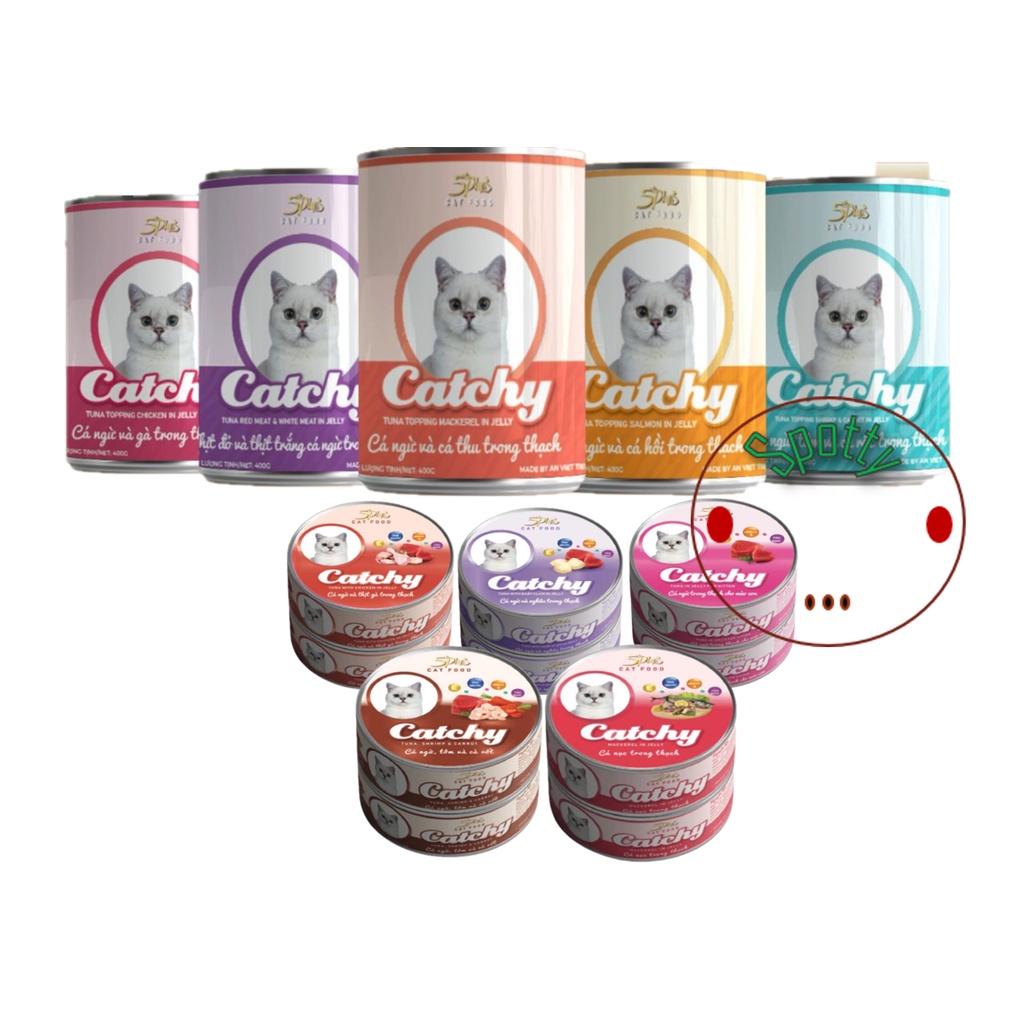 Pate cho mèo 5plus catchy, pate catchy cho mèo dạng thạch lon 400gr