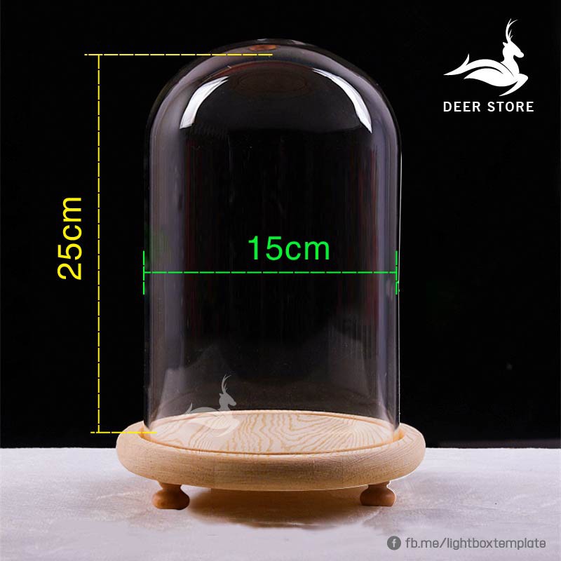 Chụp thủy tinh đế gỗ trang trí size lớn , Chụp kích thước tùy chỉnh liên hệ, Đèn led đom đóm