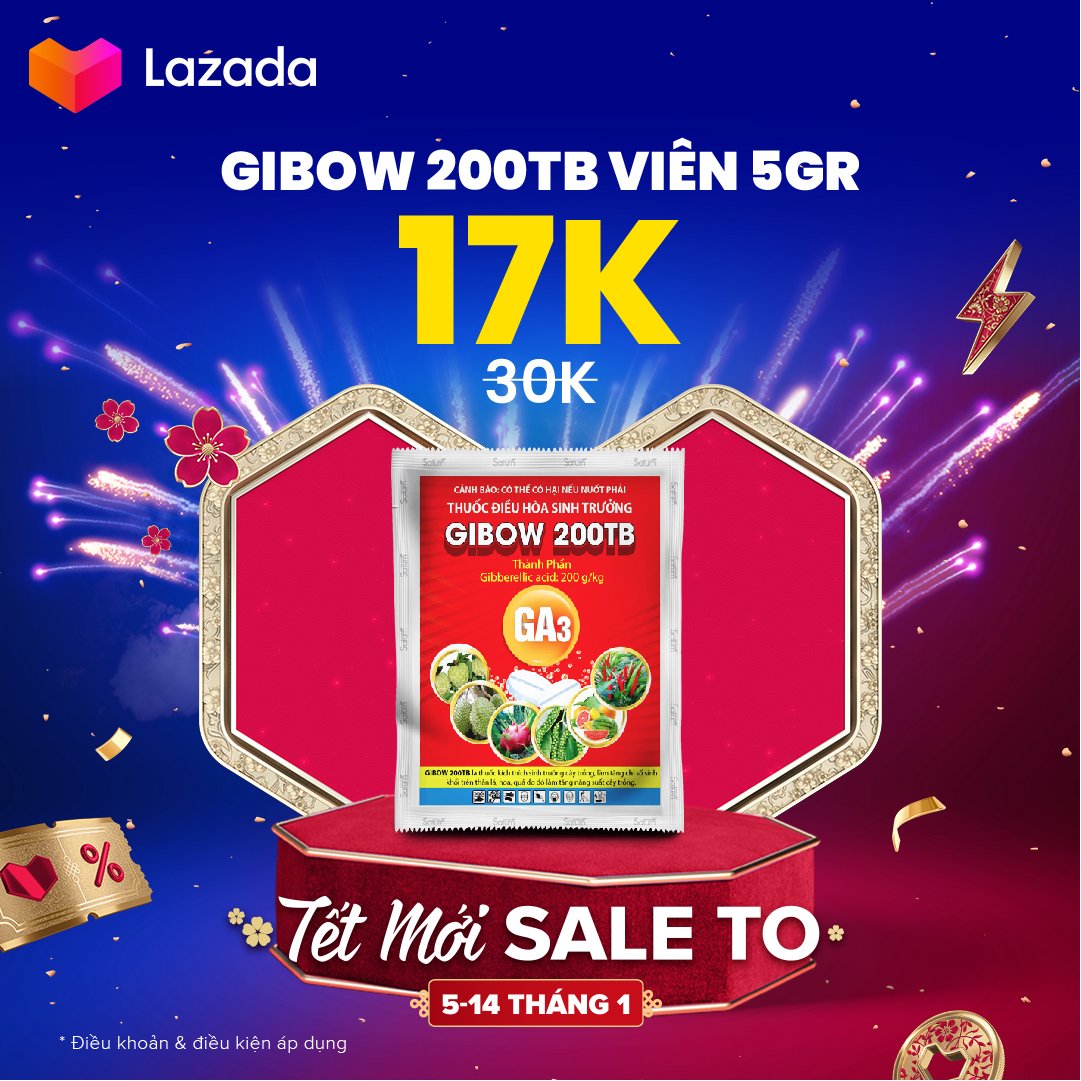 Thuốc điều hòa sinh trưởng GA3 Gibow 200TB - Kích thích sinh trưởng cây trồng, bật chồi, ra rễ, tăng năng suất