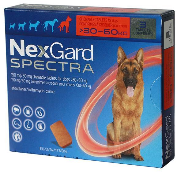 Phòng ve, bọ chét và tất cả các loại giun NEXGARD SPECTRA cho chó 30-60kg