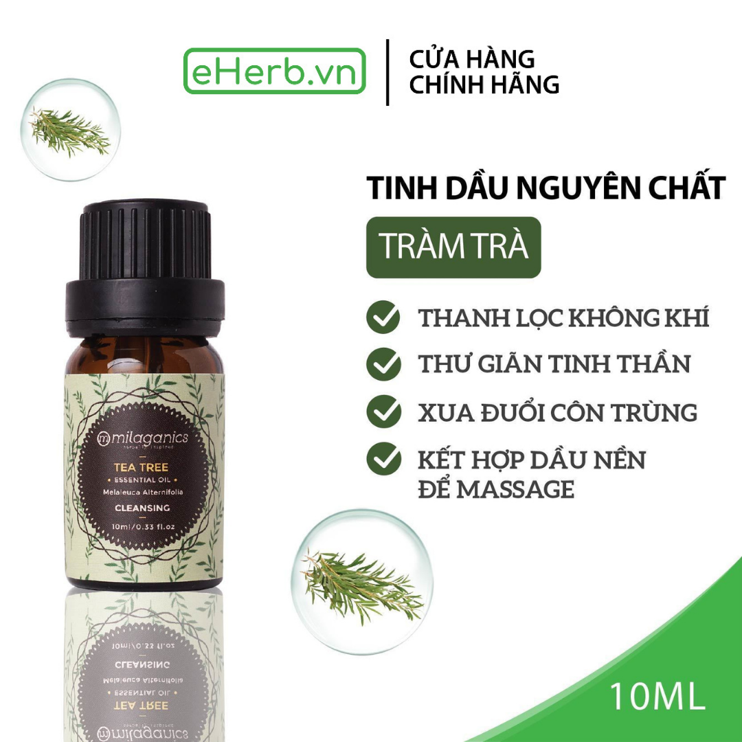 Tinh Dầu Tràm Trà Nguyên Chất Thơm Phòng Đuổi Muỗi Giảm Stress MILAGANICS 10ml (Chai)