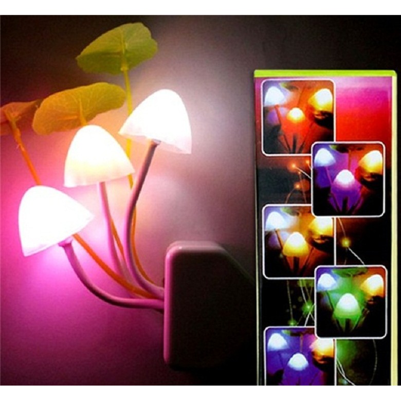 Combo 2 đèn ngủ cảm ứng hình nấm