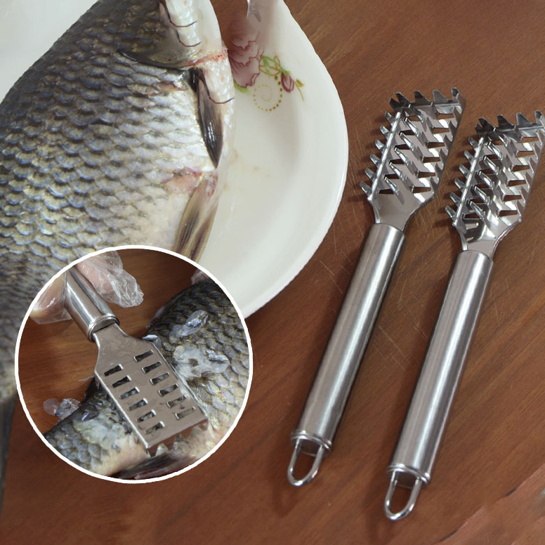 Dụng cụ đánh vảy cá, inox, sơ chế cá gọn, sạch, nhanh chóng
