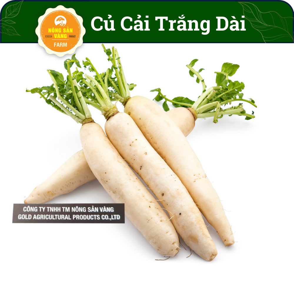 Hạt Giống Củ Cải Đường, Tỷ Lệ Nảy Mầm Cao, Sinh Trưởng Khỏe, Củ Cải Trắng Năng Suất Cao (Gói 20 gram) - Nông Sản Vàng