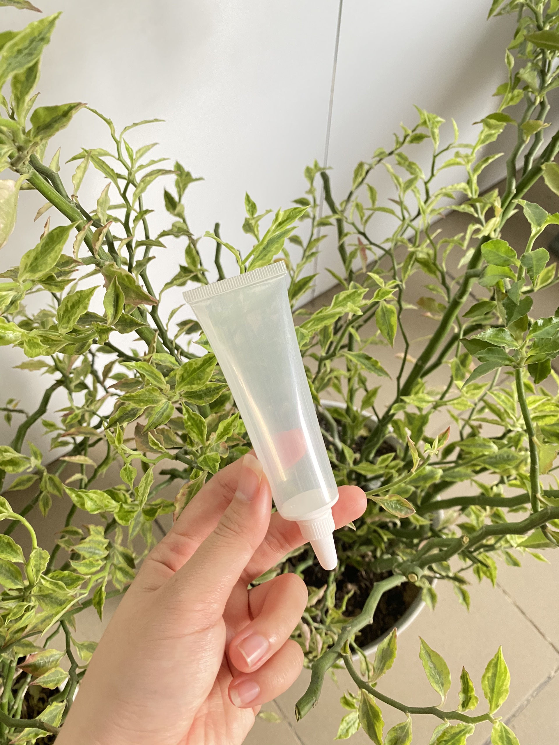 Tuýp nhựa trong suốt Fi25