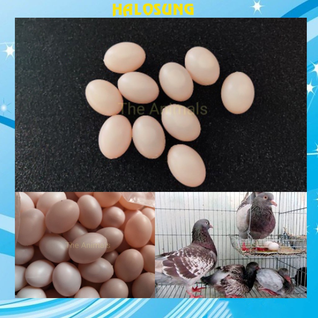 Trứng chim bồ câu giả Halosung Trứng chim phụ kiện lồng chim PK18