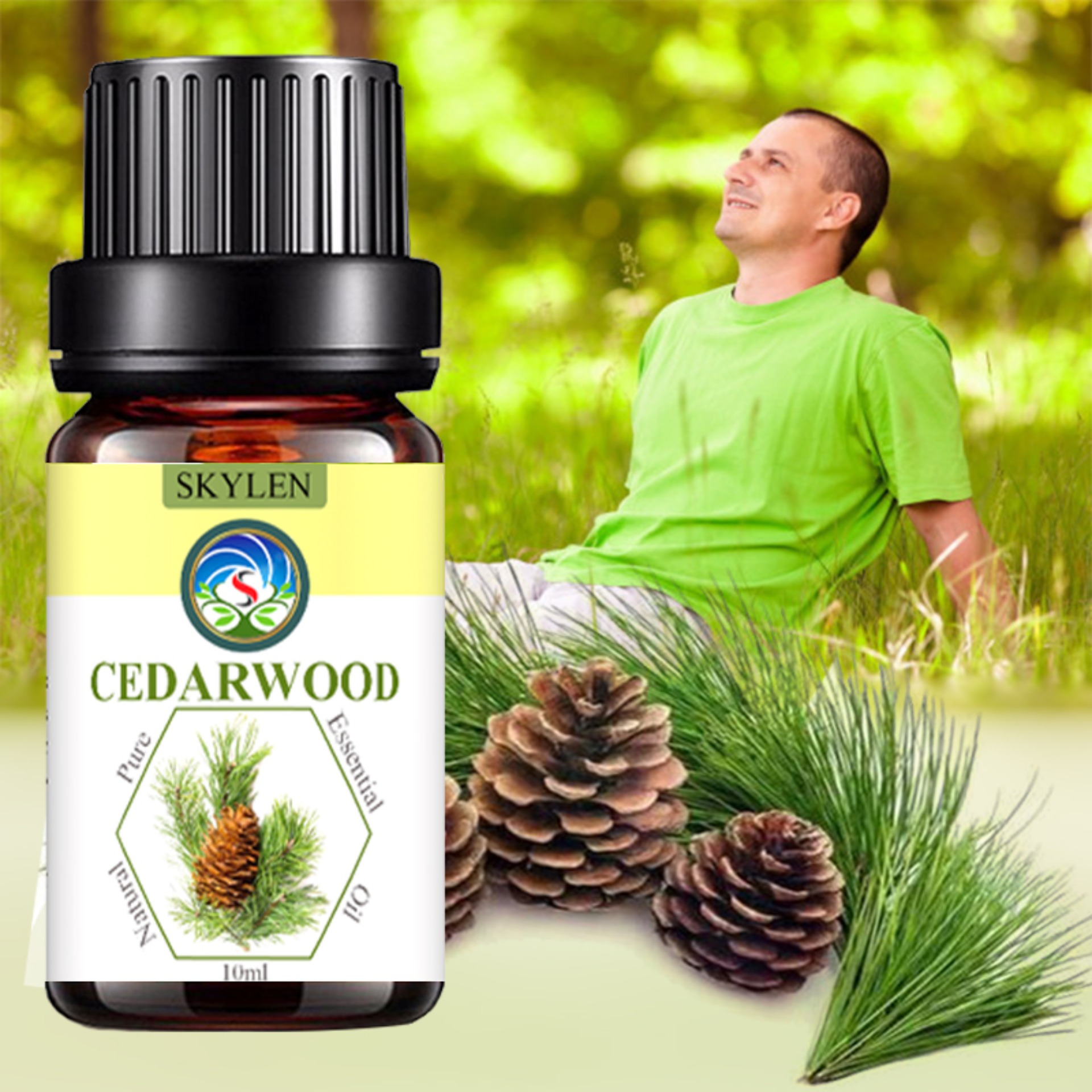 [HCM]Tinh Dầu Hoàng Đàn Thiên Nhiên Nguyên Chất‎ Chưng Cất hơi lá kim và quả nón Cây thông