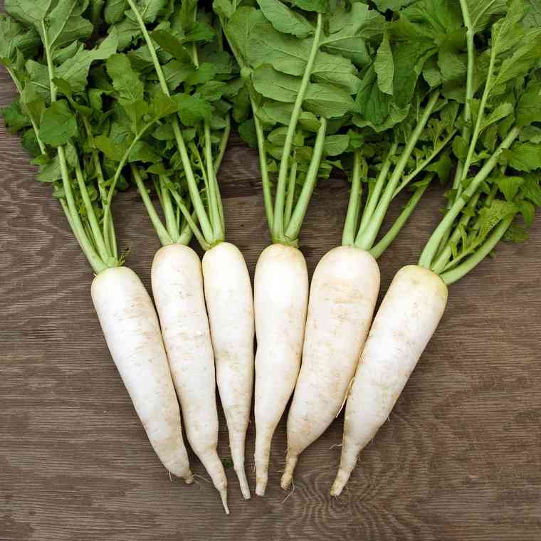 Hạt giống củ cải trắng 20gr