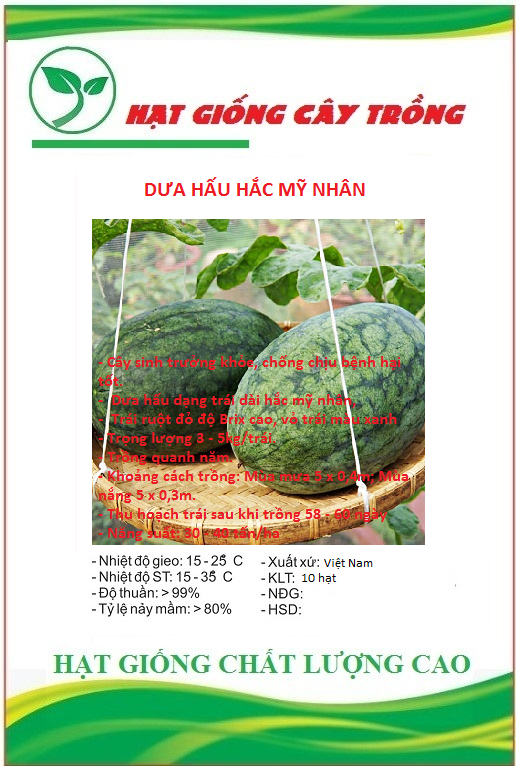 Hạt giống dưa hấu hắc mỹ nhân ct84 - gói 10 hạt