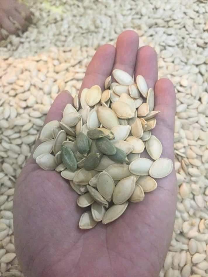 Hạt bí rang tay bình thuận 500 gr
