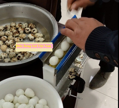 Máy bóc vỏ trứng cút - máy lột vỏ trứng cút