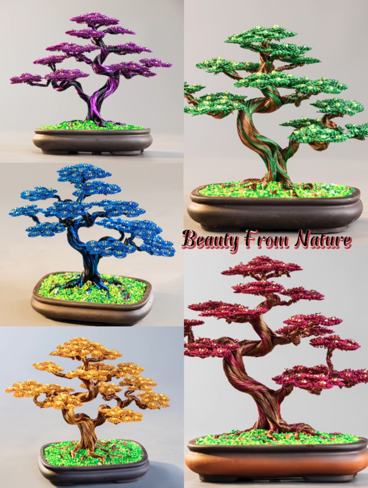 Cây tài lộc bonsai phong thủy