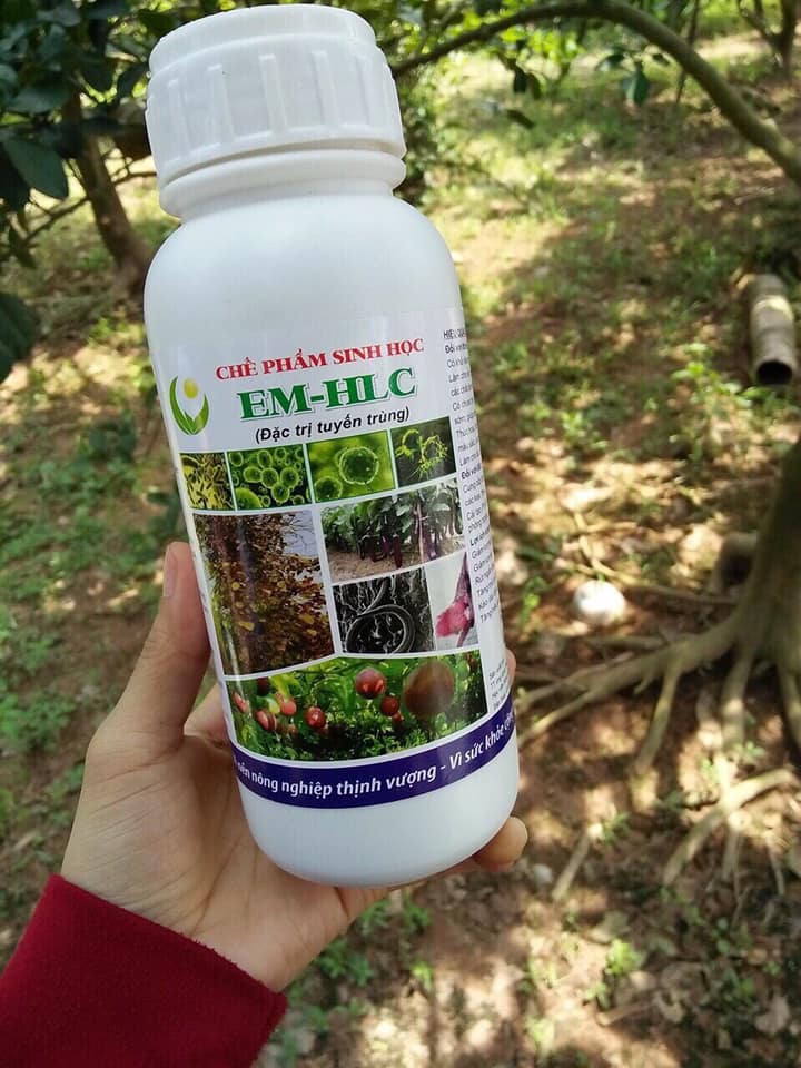 CHẾ PHẤM SINH HỌC EM - HLC 500ml ( ĐẶC TRỊ VÀNG LÁ THỐI RỄ). hàng chính hãng công ty