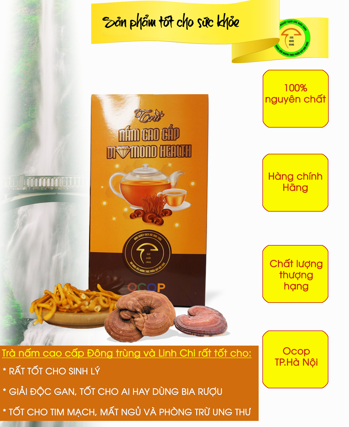Trà Đông trùng hạ thảo Diamond Health 1 gói 20 túi trà lọc