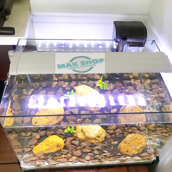 (Màu Trắng) Đèn Led Máng 50-60cm 3 Hàng Bóng 19W Cho Hồ Cá Cảnh, Hồ thủy Sinh