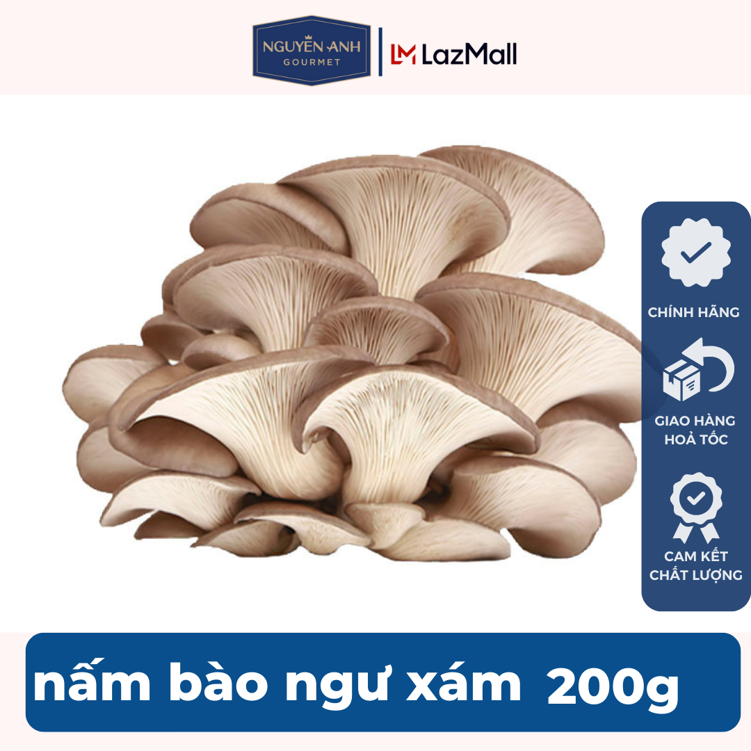 Nấm bào ngư xám tươi cao cấp Nấm Xanh