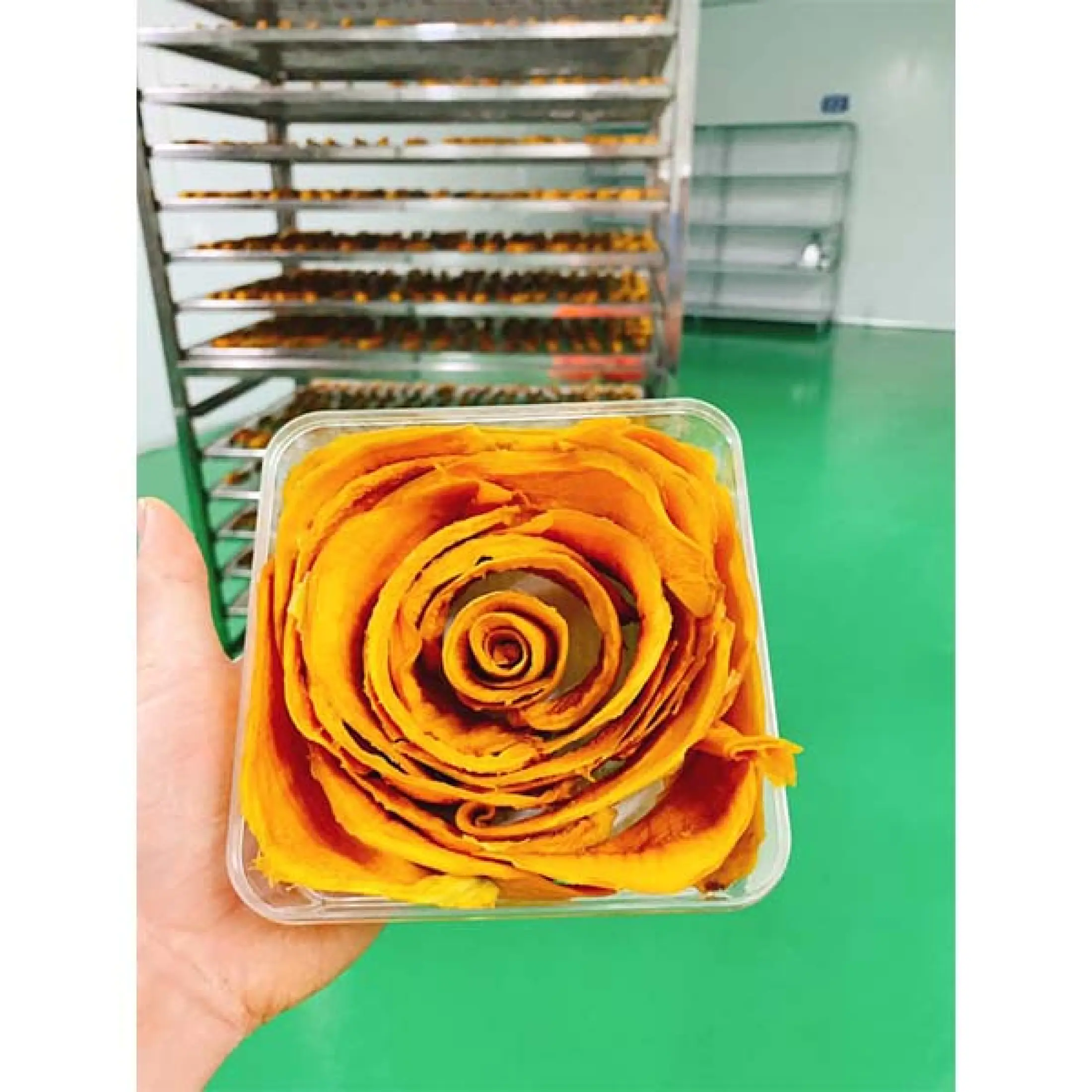 Xoài cát Hòa Lộc sấy lạnh đảm bảo sạch, Đặc sản miền Trung xứ Nghệ