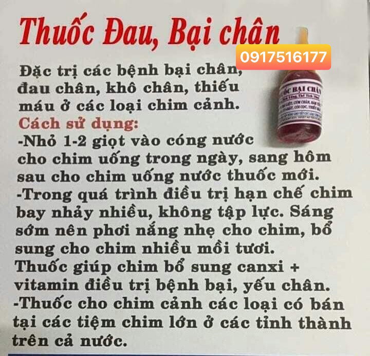 [HCM]Vitamin Bổ sung Canxi  bại chân đau chân còi xương- dành cho chim cảnh DT Hỗ trợ 0917516177