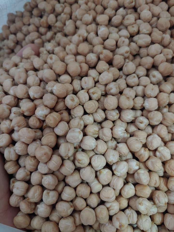 500gr Đậu gà hữu cơ không biến đổi gen new 100
