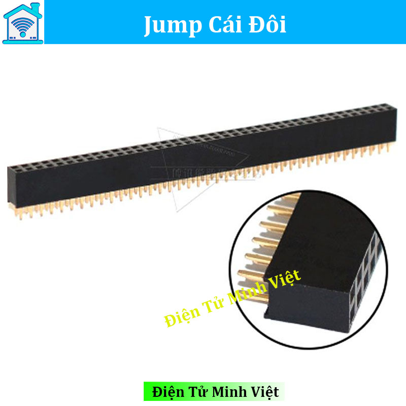 Combo 3 jump cái đôi 2x40 2.54 loại thẳng