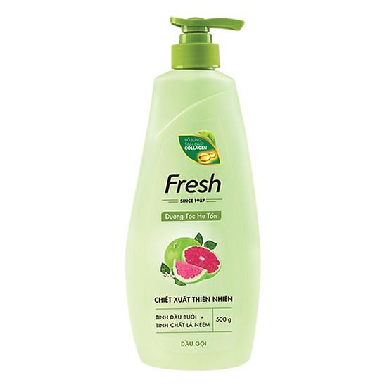Dầu gội fresh chiết xuất bưởi 550g