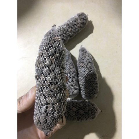 Combo 5 gói phân dê 10cm bón lan