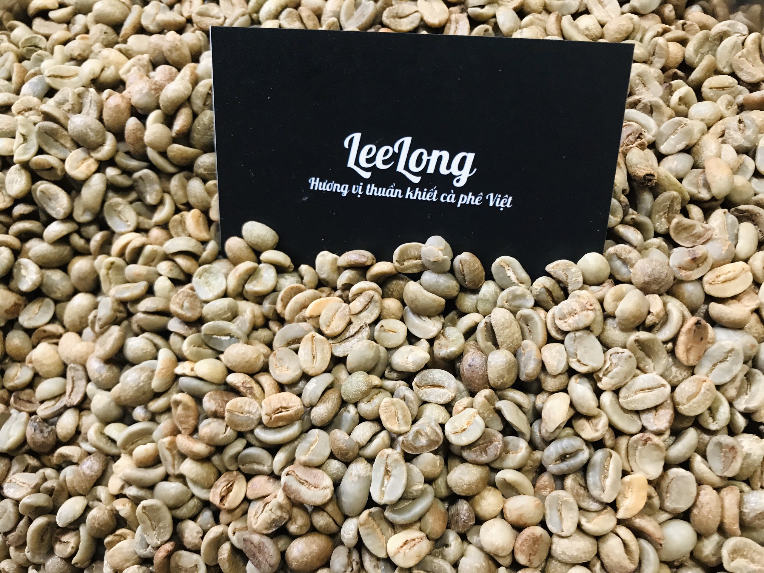 1kg cà phê nhân sống chưa rang Arabica Cầu Đất
