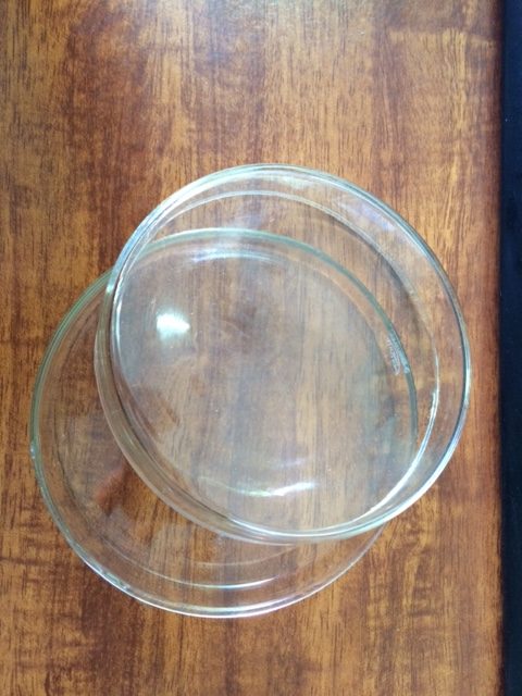 Petri dish glass resistant container sample, cultured, do the experiment