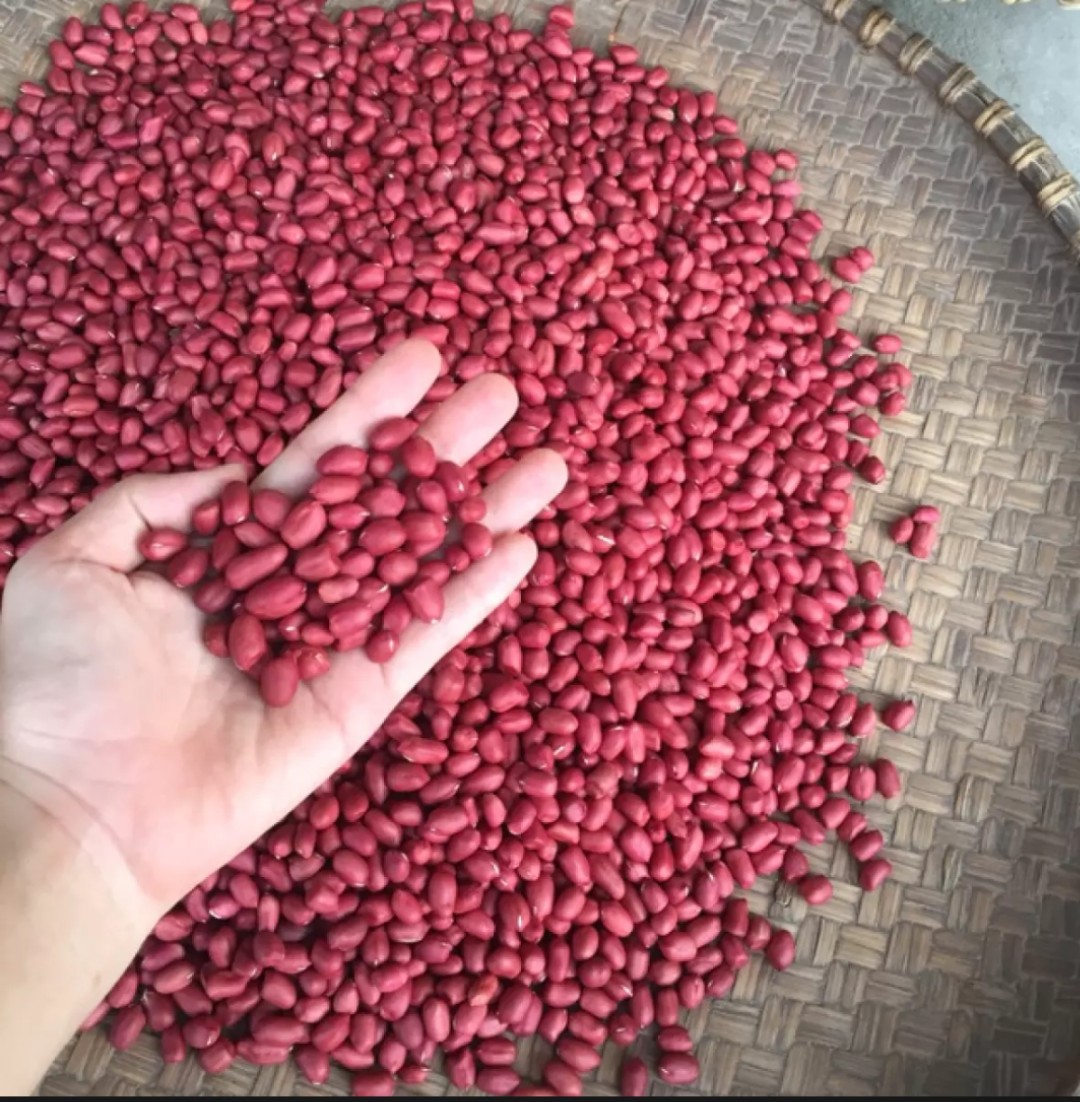 Lạc đỏ nam định/lạc đỏ/ đậu phộng đỏ/ 1kg