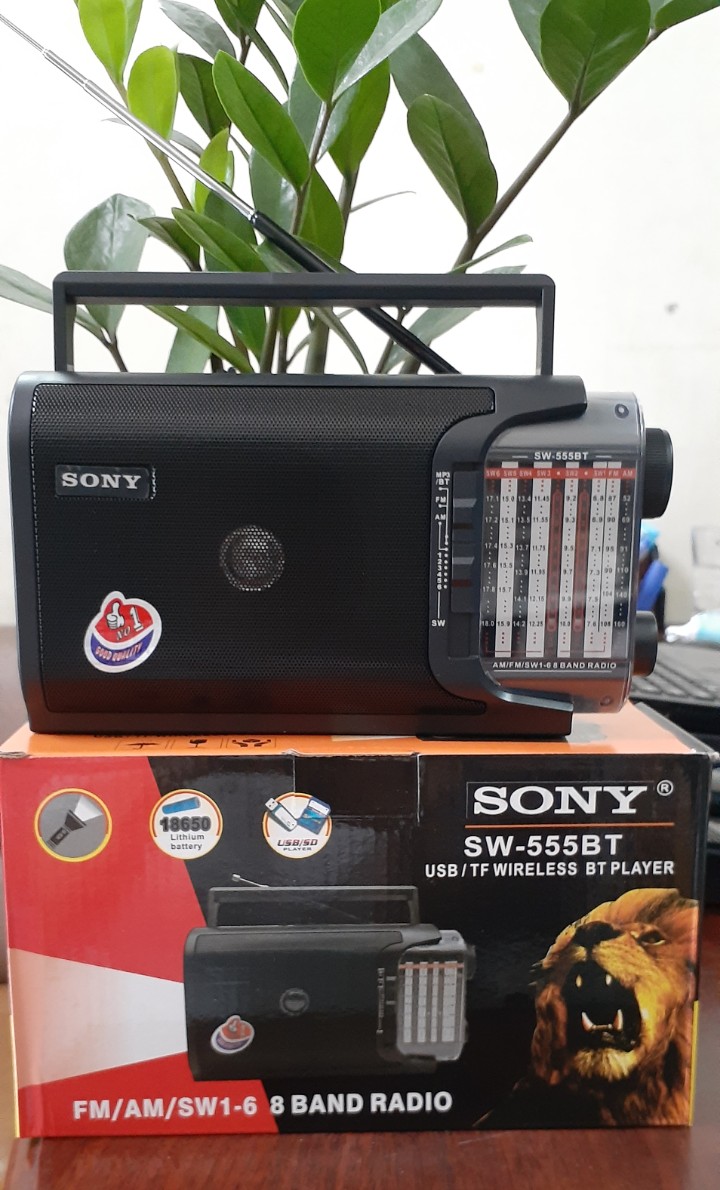 Radio sony sw555bt