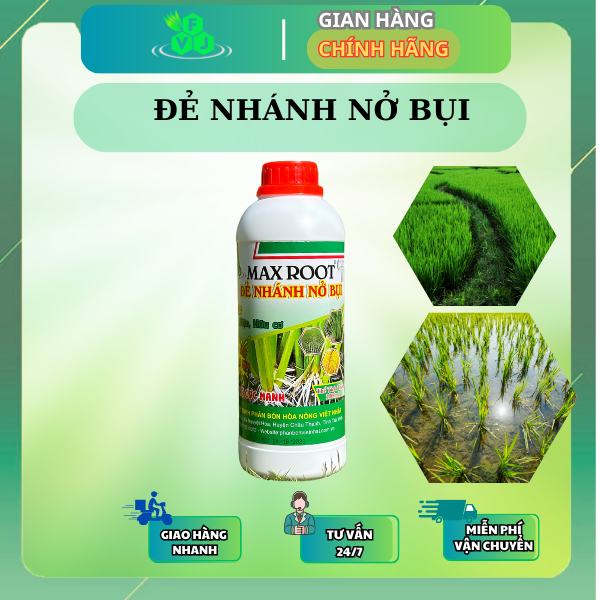 Phân bón chuyên lúa max root đẻ nhánh nở bụi chai 1 lít - ra rễ mạnh, giải độc phèn, mặn, hữu cơ