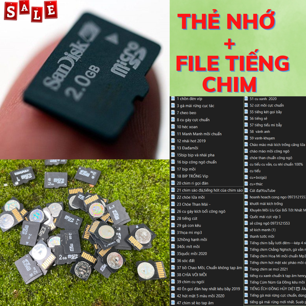 Thẻ nhớ tiếng chim, file tiếng tổng hợp , hơn 60 thứ tiếng, đủ mọi loại tiensg , chất lượng 2023