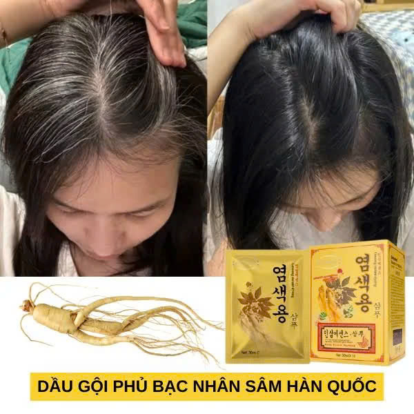 Dầu gội nhuộm tóc đen từ Nhân Sâm Hàn Quốc dạng túi gói tiện dụng tiết kiệm mã 20
