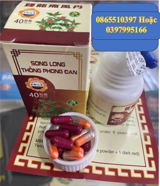 Song Long Thống Phong Đan Malaysia hỗ trợ cho người bị gout, phong thấp, đau xương...