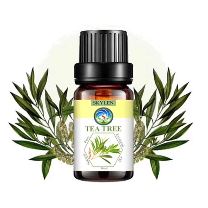 [HCM]Tinh dầu tràm trà giảm mụn xông hơi mặt khuếch tán kháng khuẩn tea tree oil