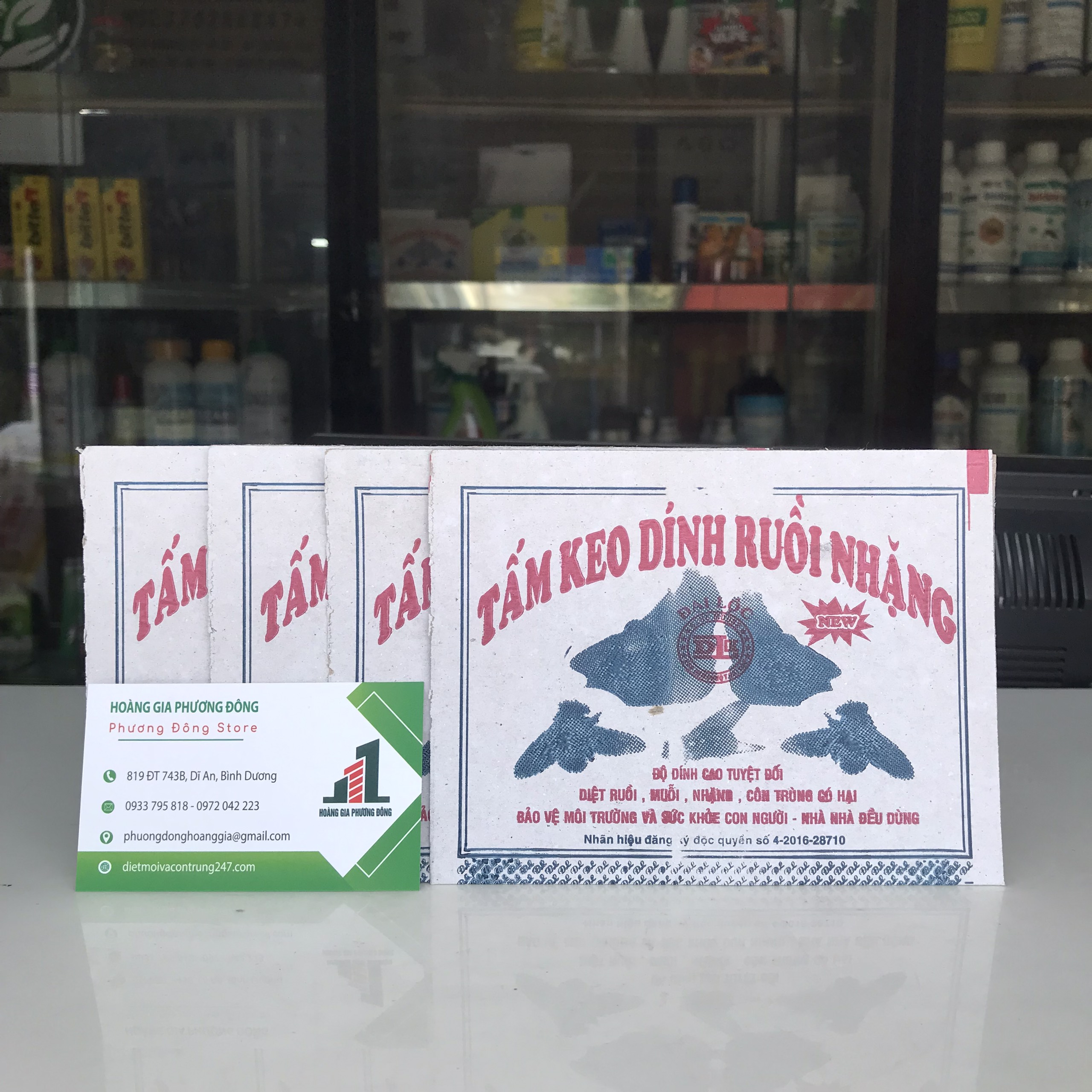 COMBO 10 miếng keo dính ruồi - diệt ruồi hiệu quả an toàn