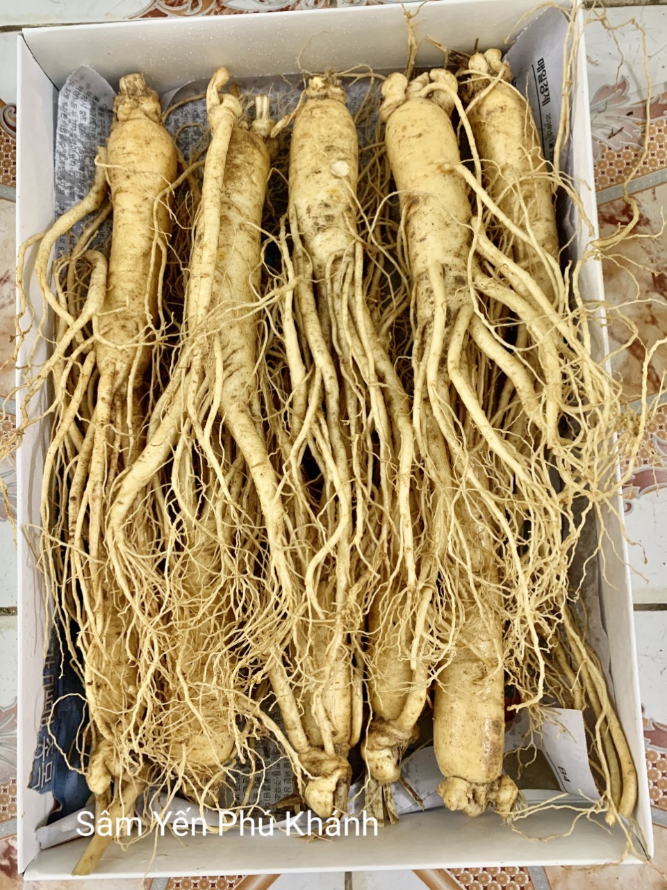 1 Ký Sâm Tươi Hàn Quốc 10 Củ- 1kg, Nhân Sâm Hàn Quốc, có tác dụng chống mệt mỏi, tăng cường sức khỏe, sâm hàn quốc, nhân sâm tươi hàn quốc, sâm tươi hầm gà, sâm tươi ngâm mật ong , Sâm Yến Phú Khánh