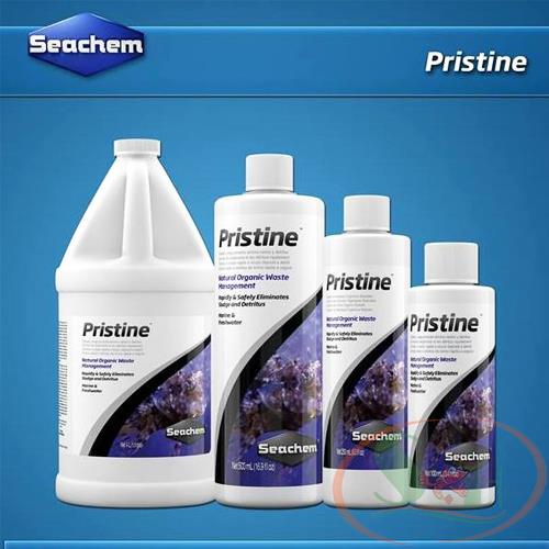 Seachem pristine - vi sinh cho hồ cá thủy sinh