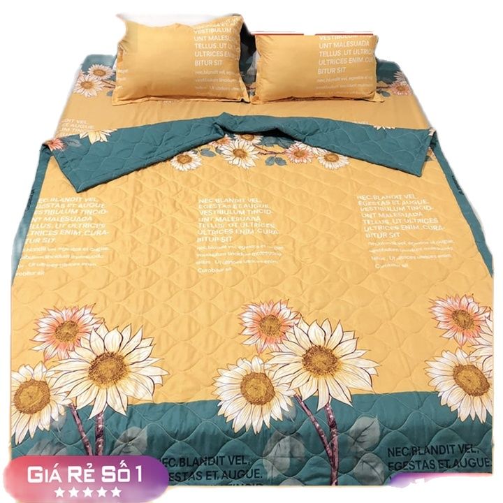 Bộ Chăn Ga poly cotton 5 Món