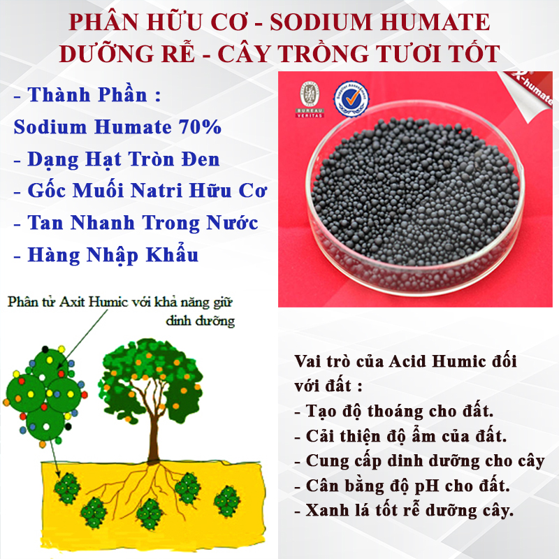 1kg - Phân bón hữu cơ acid humic hạt nhập khẩu 100% , bổ sung dinh dưỡng cho đất , cải tạo đất dưỡng rễ cây trồng