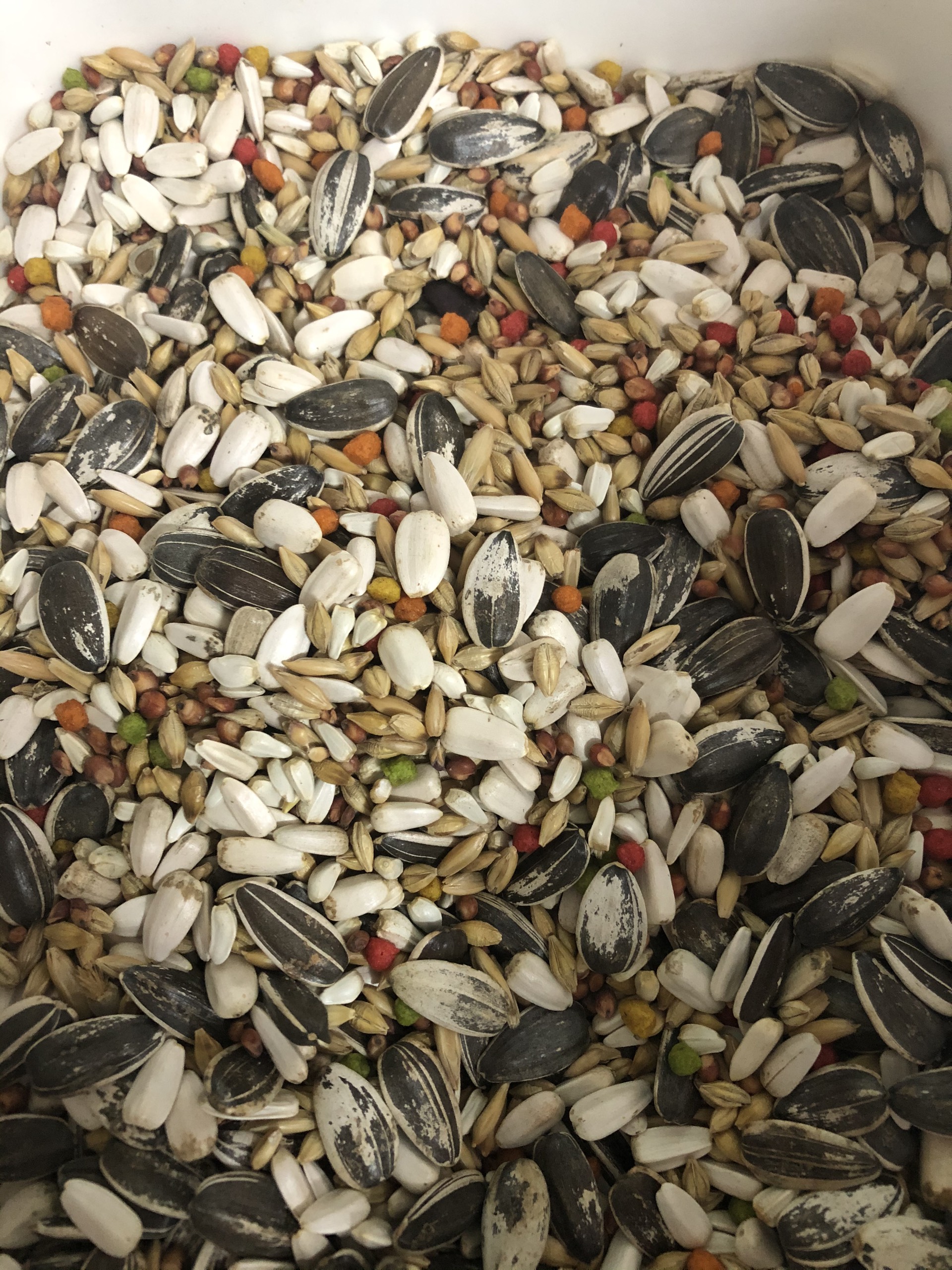 Hạt trộn cho vẹt ngực hồng, sun, greencheck, xích ... gói 500g - 1kg