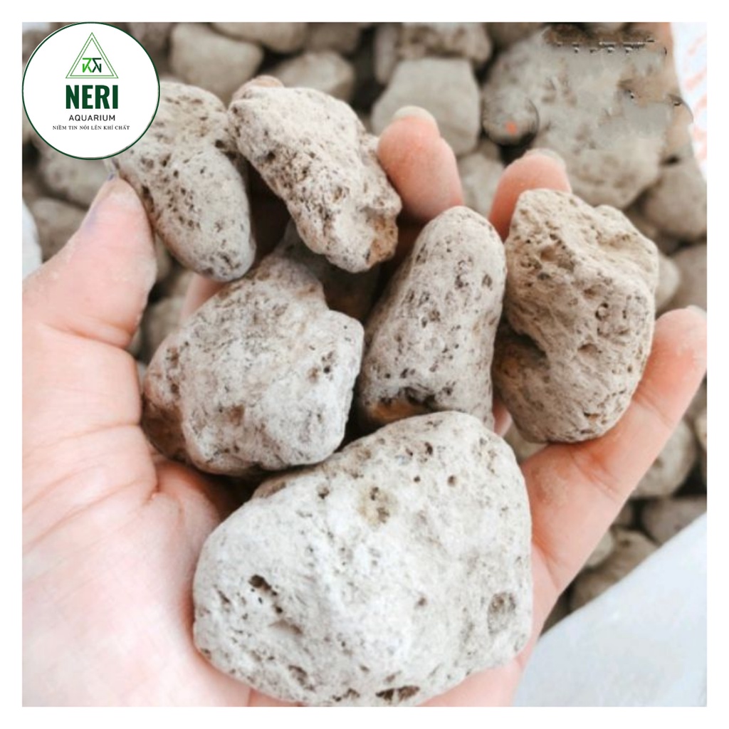 Đá lông vũ hay đá nham thạch trắng hàng nhập khẩu size 2-4cm 1lit.