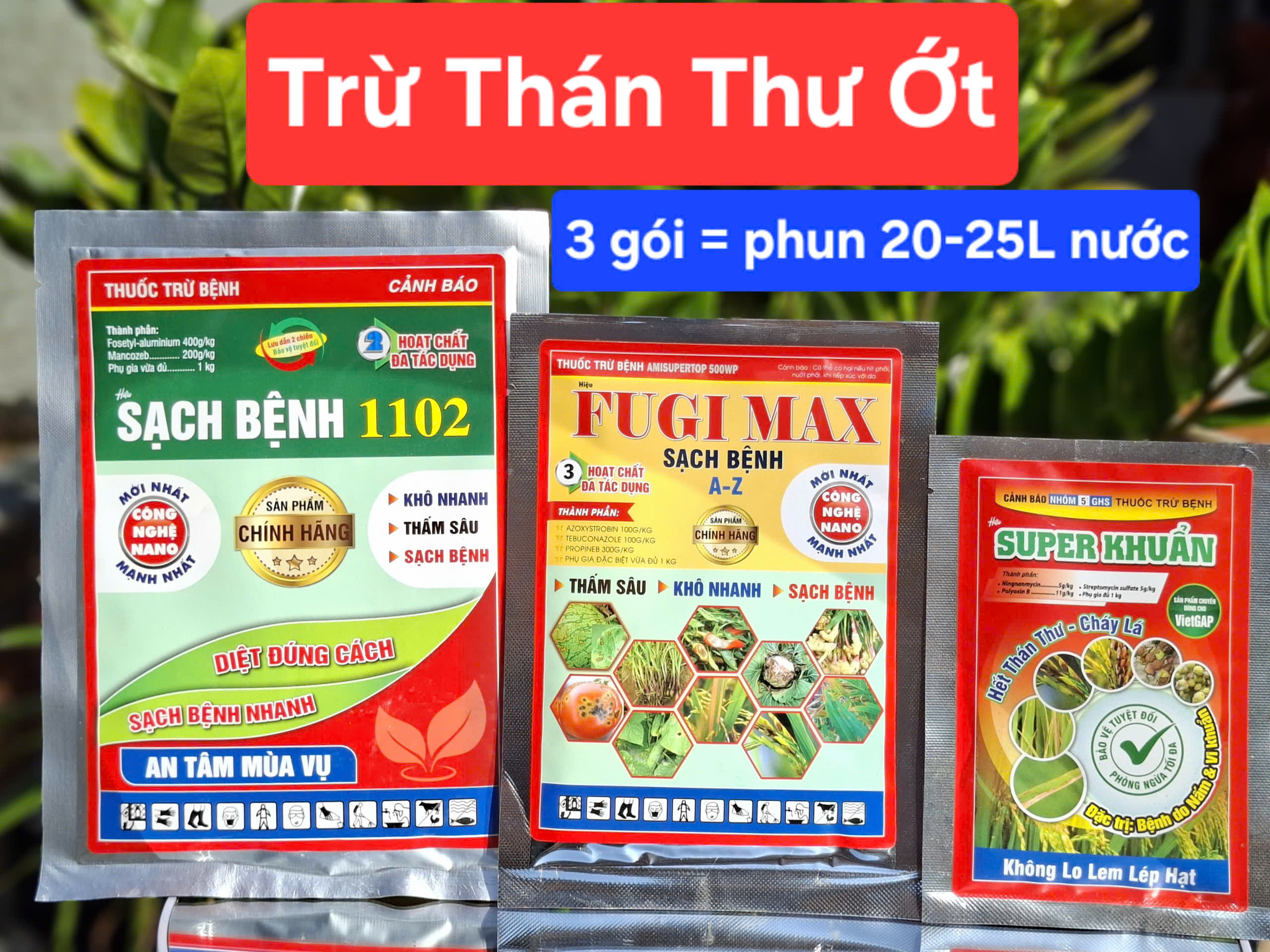 Combo trị thán thư ớt, thối úng trái ớt, thán thư bông, thối úng bông ớt