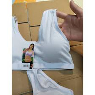 Set 2 áo lá học sinh cotton