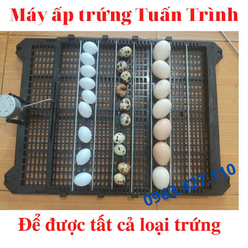 Khay đảo trứng cút 120 trứng