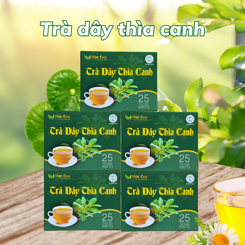  Combo 5 hộp Trà dây thìa canh Mộc Can hộp 25 túi lọc 