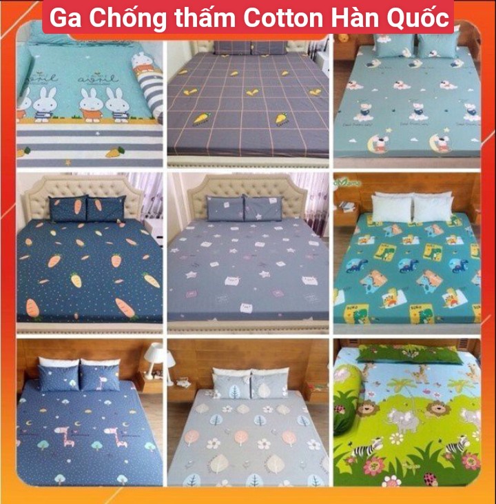 Ga Chống Thấm Cotton Hàn Quốc, Hàng Nhập Khẩu Đủ Kích Thước Cho Bé, Ga Chống Thấm Cotton, Ga Chống T