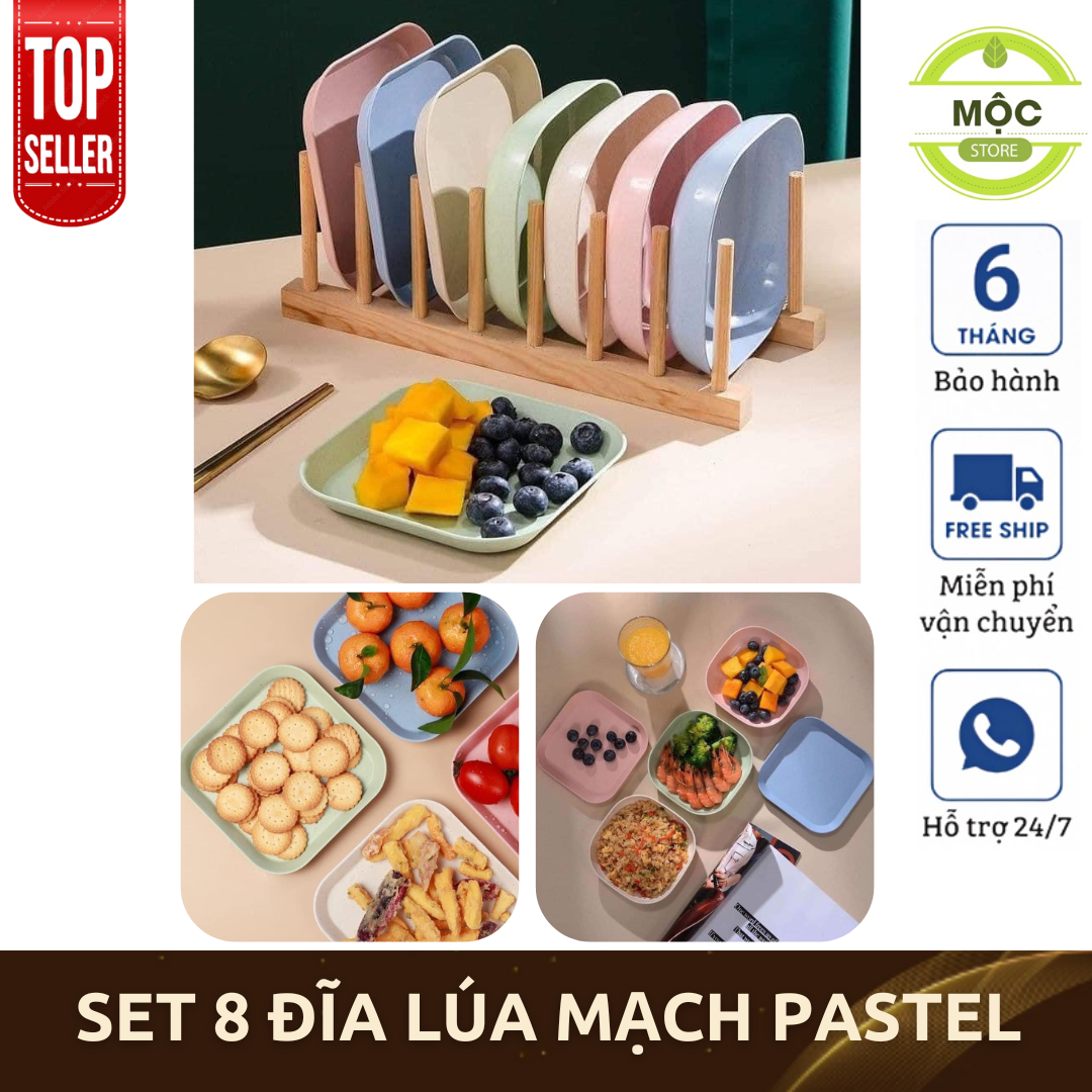 Set 8 đĩa lúa mạch pastel màu siêu xinh