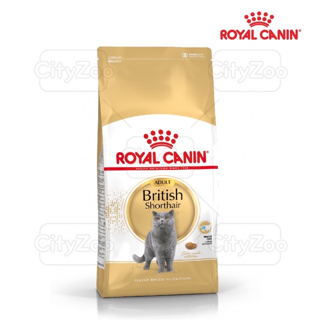 Royal canin british shorthair adult 2kg
