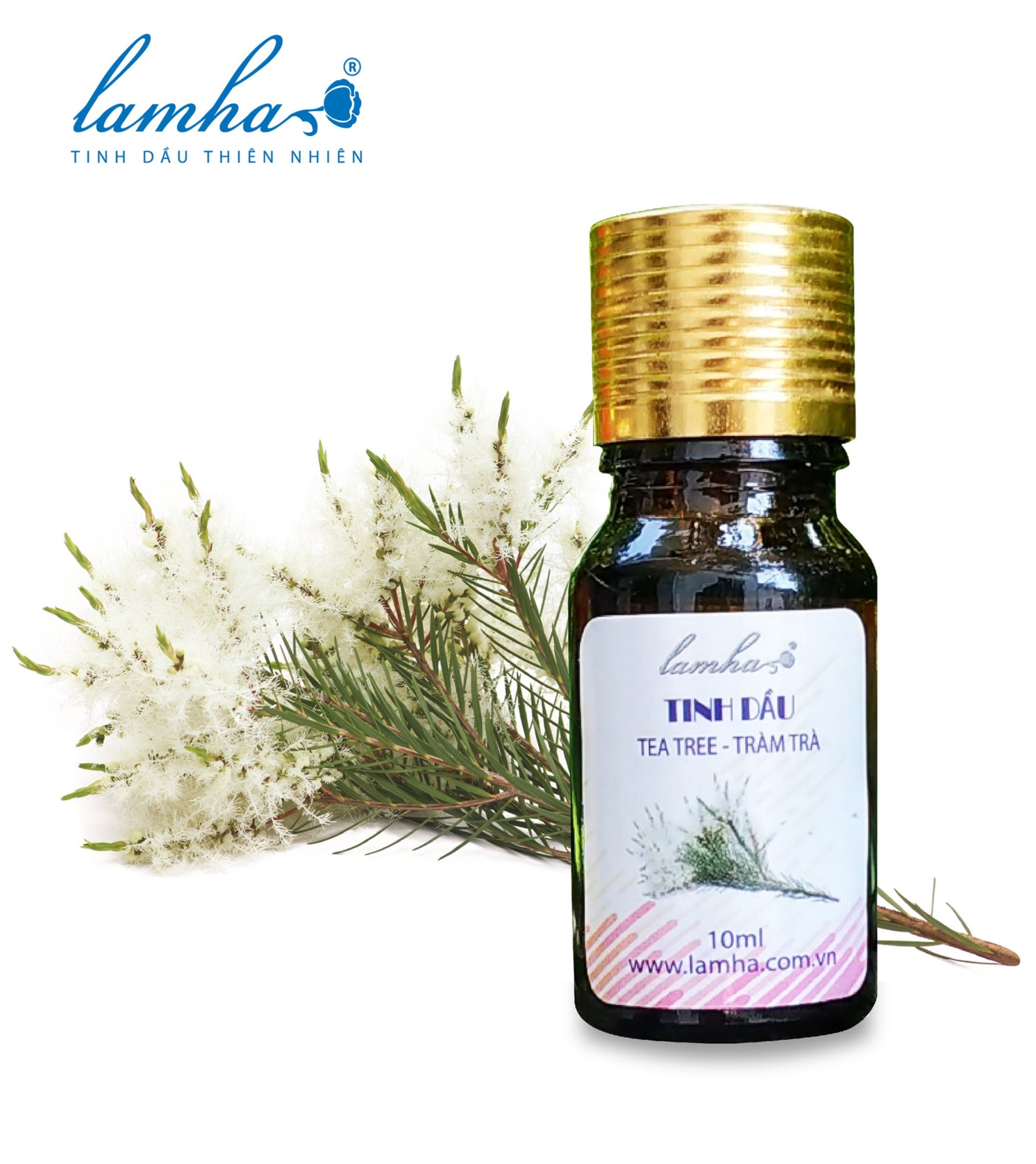 Tinh dầu tràm trà úc 10ml lam hà